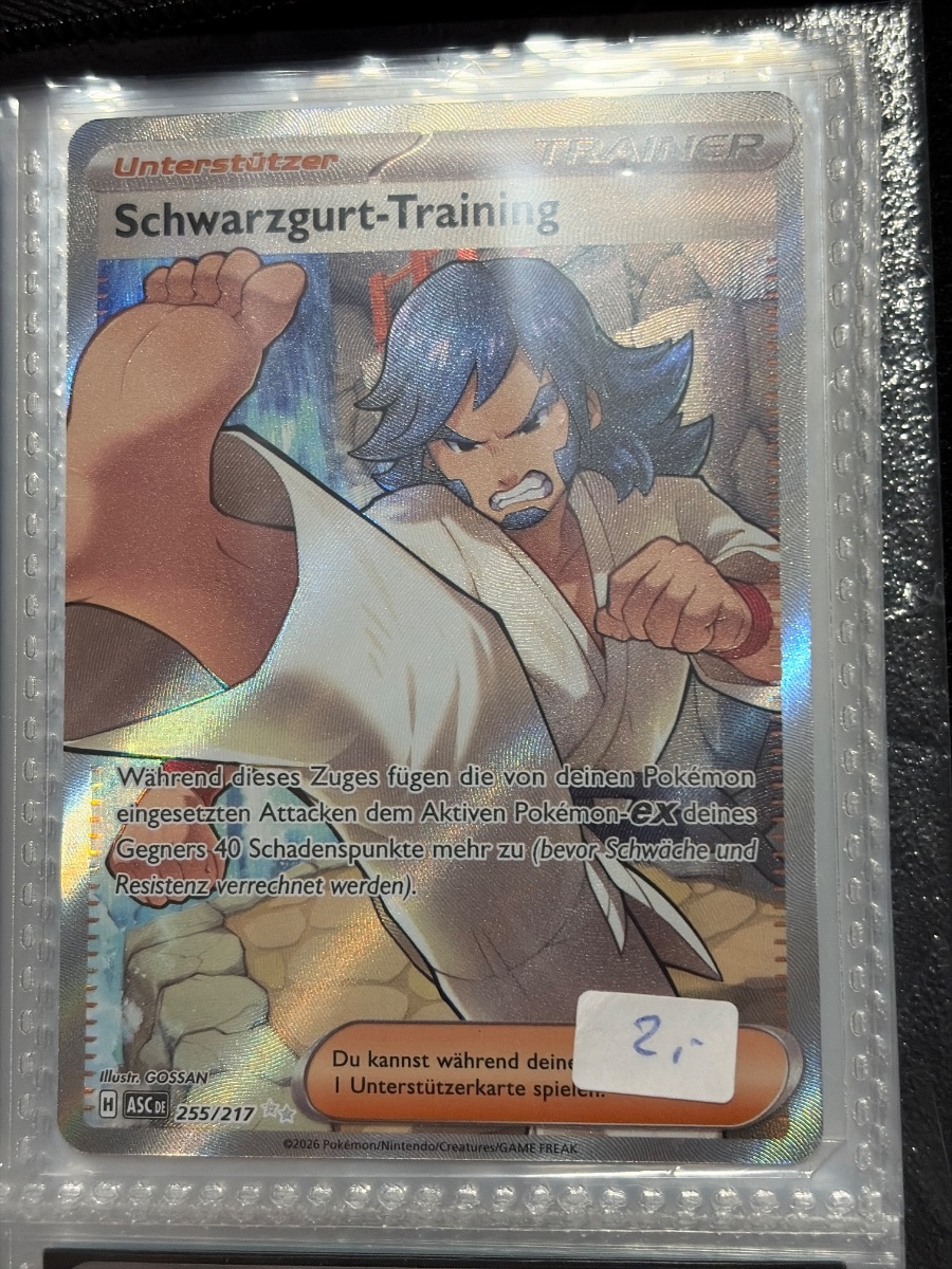 Schwarzgurt-Training – Bild 1